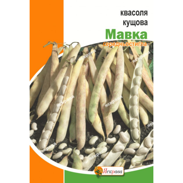 Квасоля кущова Мавка 30 г