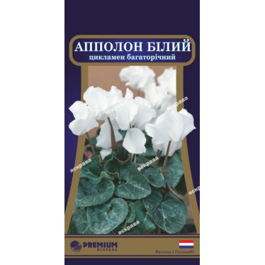 Цикламен многолетний Аполлон 5 семян в оболочке