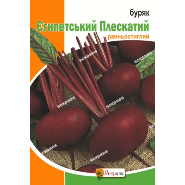 Буряк столовий Єгипетський Плескатий 20 г