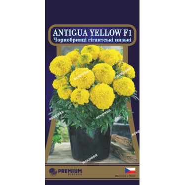 Бархатцы низкие  Antigua Yellow F1 5 семян в оболочке