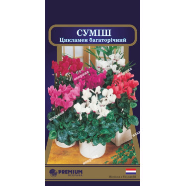 Цикламен многолетний  смесь 5 семян в оболочке