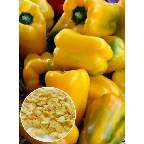 Перец Дивосвит желтый весовой (семена) 1 кг