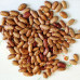 Фасоль Перепелка весовая (семена) 1 кг - оптом