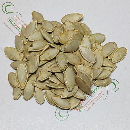 Кабачок Зебра ваговий (насіння) 1 кг