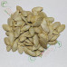 Кабачок Зебра ваговий (насіння) 1 кг - оптом