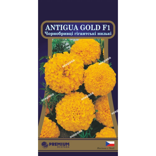 Бархатцы низкие  Antigua Gold F1 5 семян в оболочке