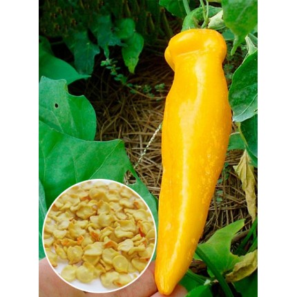 Перець Папероні жовтий ваговий (насіння) 1 кг