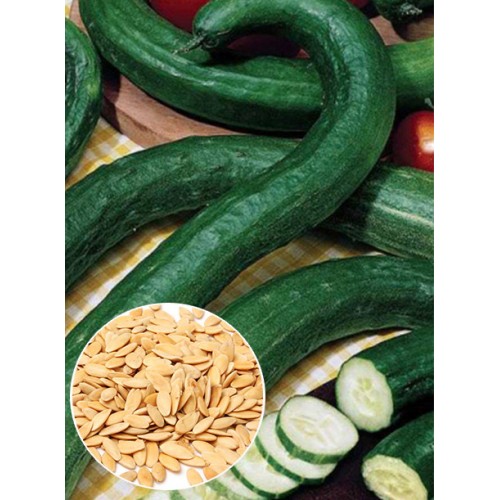 Огірок Китайський Змій ваговий (насіння) 1 кг