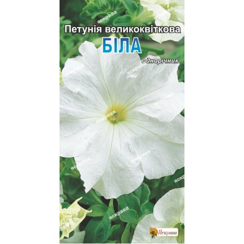 Петунія Великоквіткова Біла 0.005 г