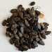 Кавун Огоньок ваговий (насіння) 1 кг - оптом