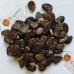Кавун Цільнолистий ваговий (насіння) 1 кг - оптом